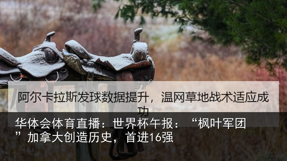 华体会体育直播：世界相关情况拿大创造历史，首进16强