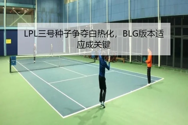 san-hao-zhong-zi-zheng-duo-bai-re-hua-ban-ben-shi-ying-cheng-guan-jian-2-289.jpg